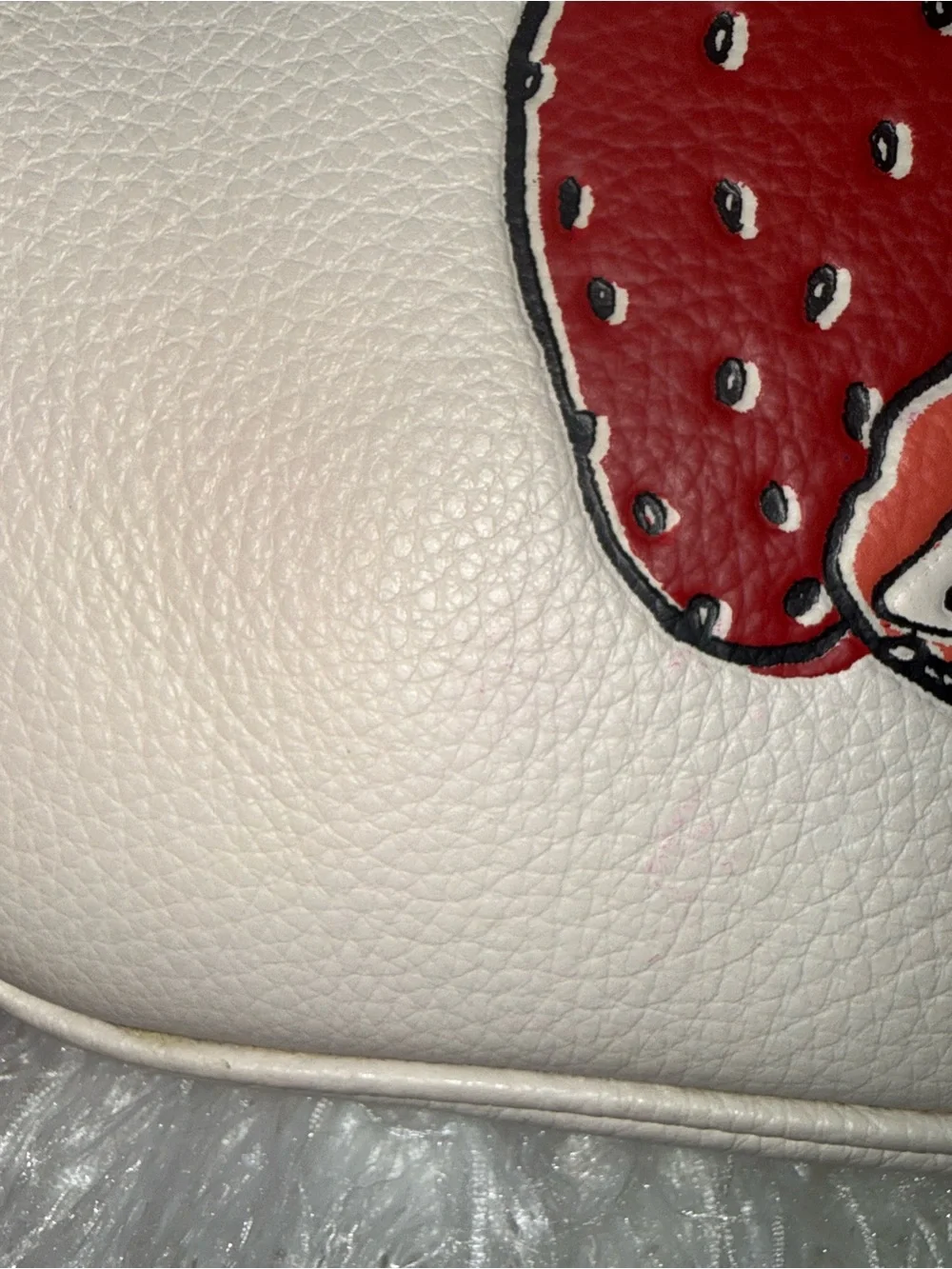 Coach Jamie Camera Bag with Strawberrry print
